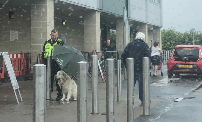 A security guard placing an umbrella over the head of a dog outside of a market A security guard placing an umbrella over the head of a dog outside of a market