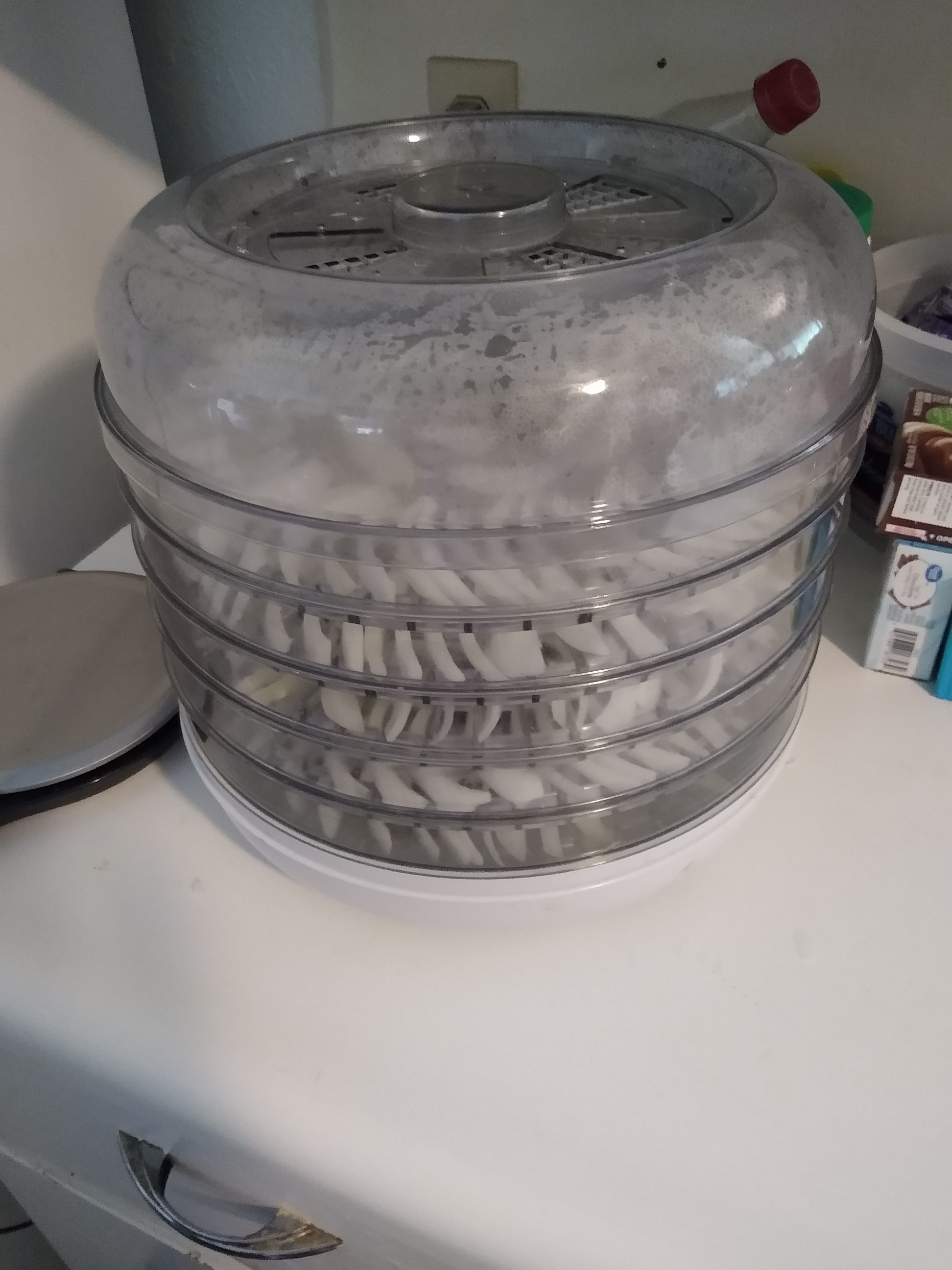 Dehydrator. Photo is mine.