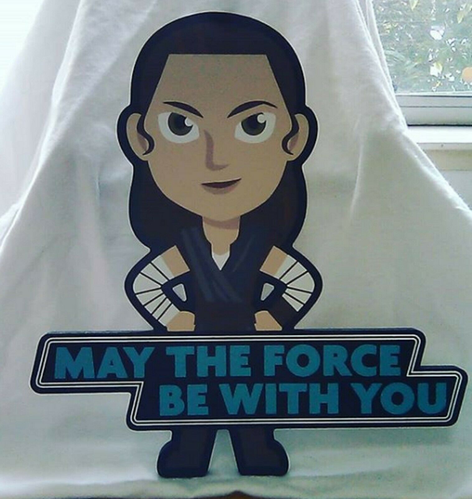 Rey Star Wars Stand Up that I took a photo of Rey Star Wars Stand Up that I took a photo of