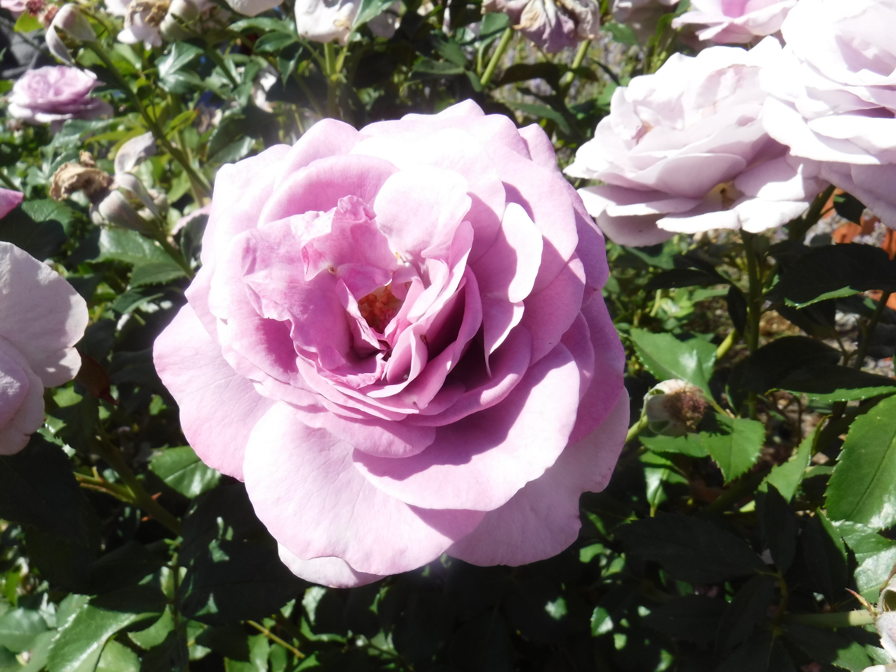 Photo taken by me Photo taken by me