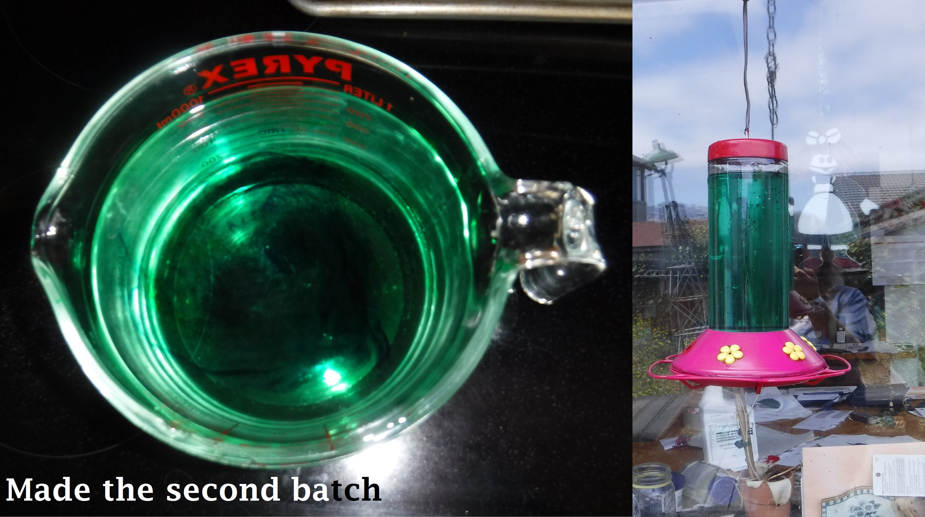 Photos taken by me and put together on Microsoft Paint Photos taken by me and put together on Microsoft Paint