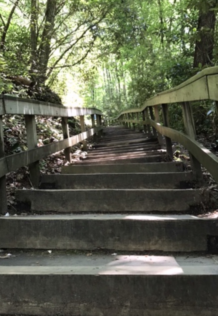 A look UP at the steps leading from the parking lot to Mingo Falls. Photo taken by and the property of FourWalls. A look UP at the steps leading from the parking lot to Mingo Falls. Photo taken by and the property of FourWalls.