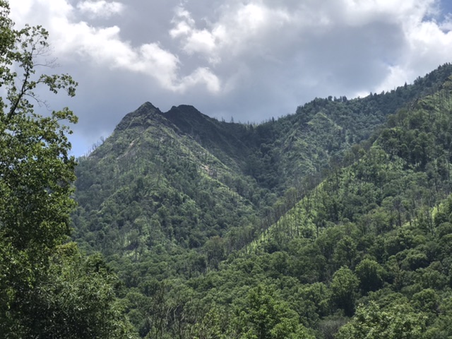More mountains to climb in the Great Smoky Mountains National Park. Photo taken by and the property of FourWalls. More mountains to climb in the Great Smoky Mountains National Park. Photo taken by and the property of FourWalls.