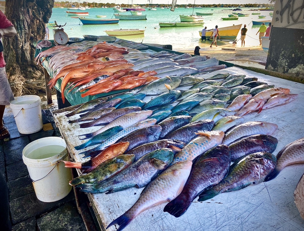 Fish Market