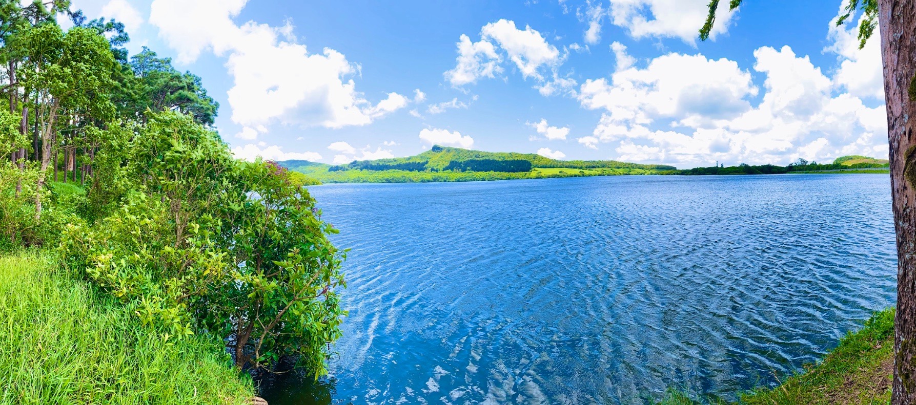 La nicolière Mauritius La nicolière Mauritius