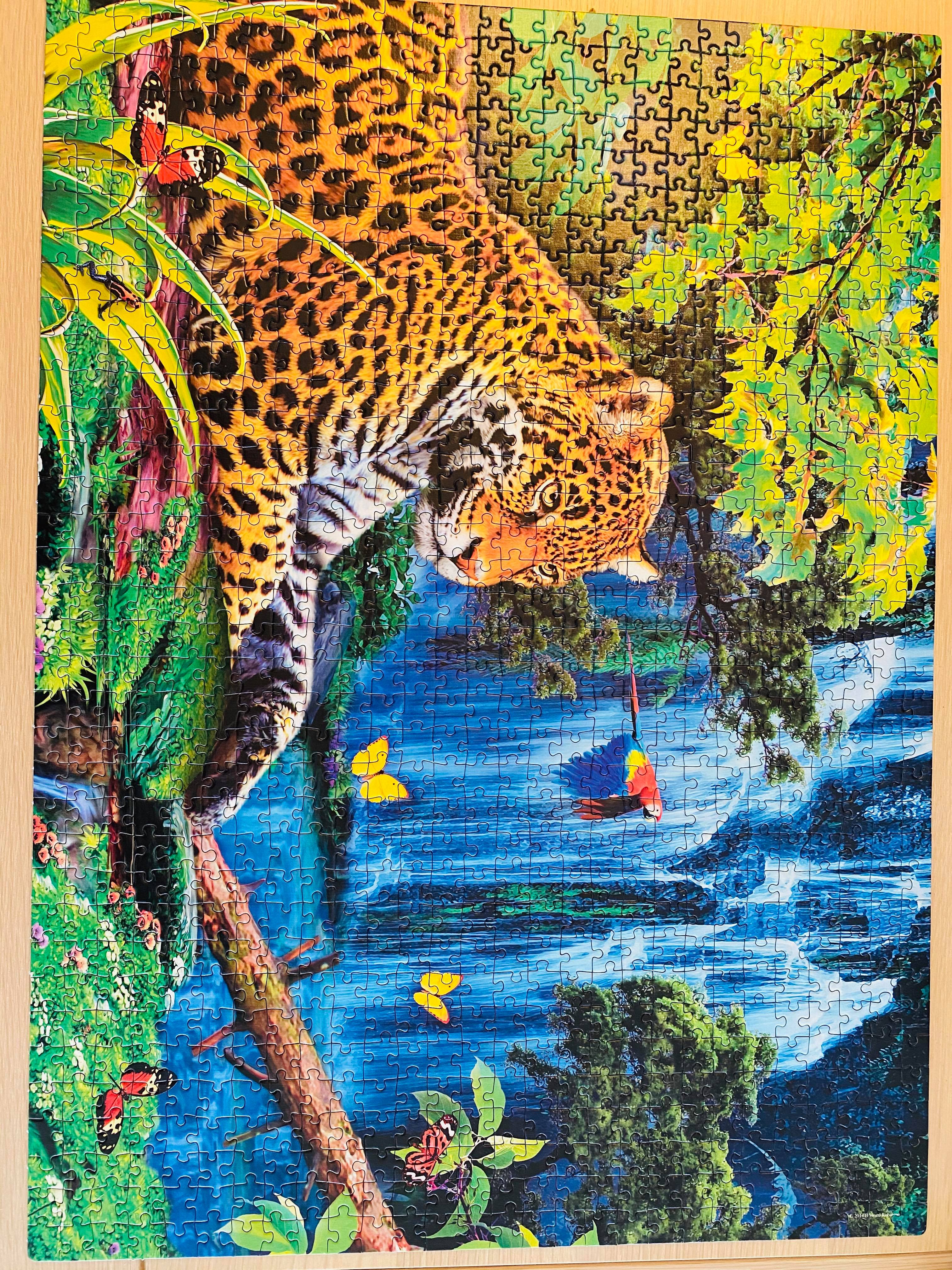 Leopard at waterfall
