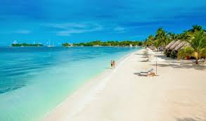 Need a beach day? Need a beach day?