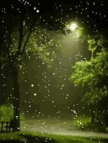 Raining Night Raining Night