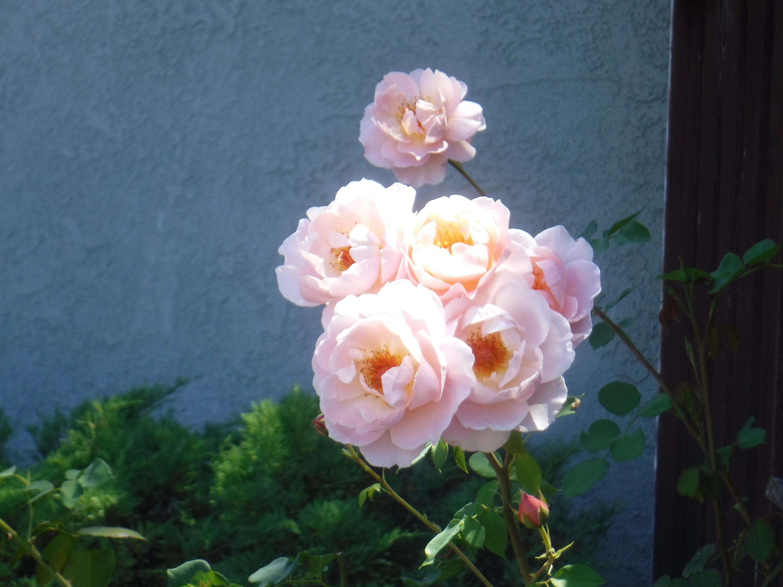 Photo taken by me