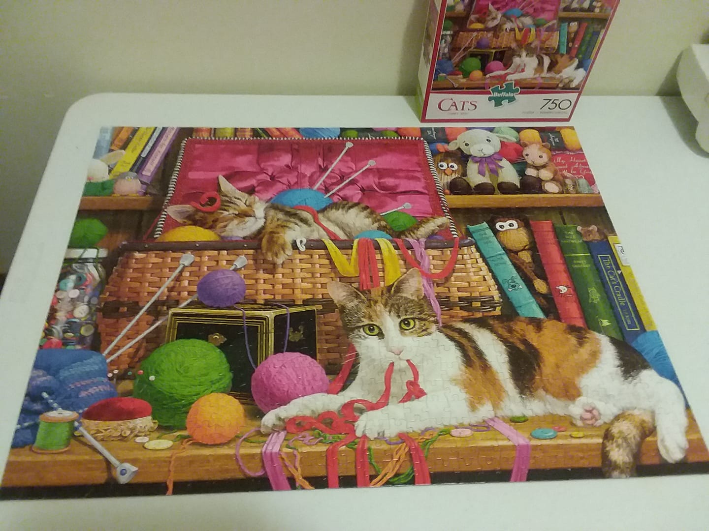 Cats Comfy Spot puzzle that I put together