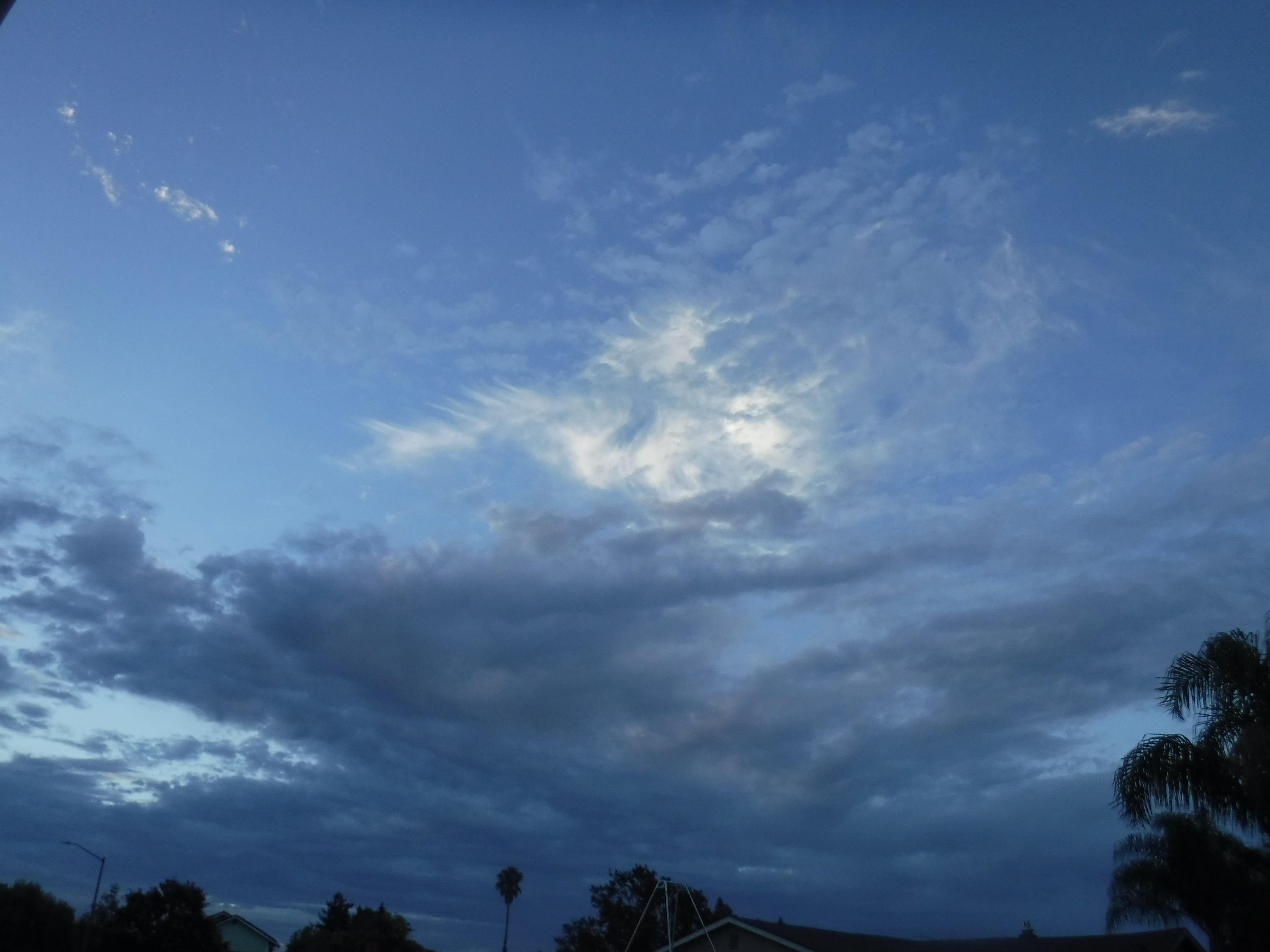 Photo taken by me 8-14-20 Photo taken by me 8-14-20