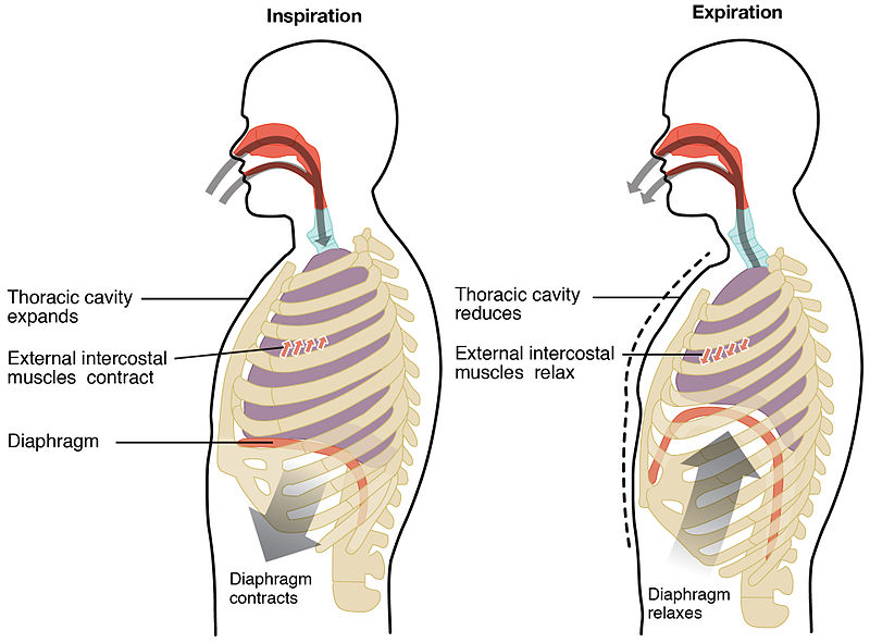 practicing breathing