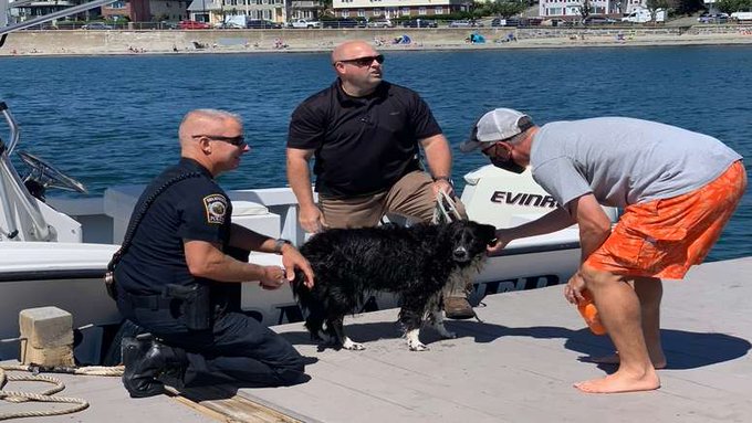 Two Swampscott Massachusetts police officers and Molly