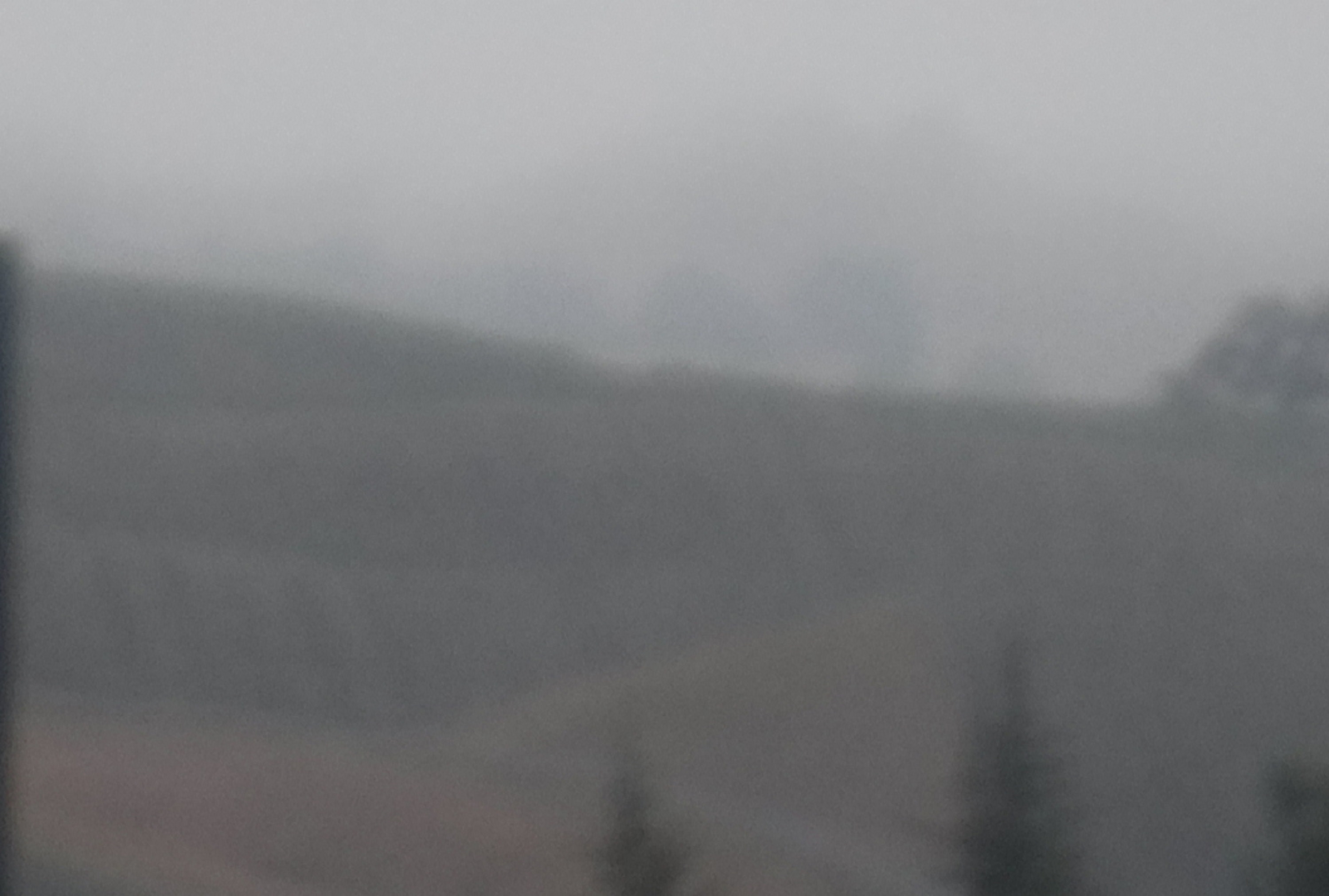 Photo taken and cropped by me
