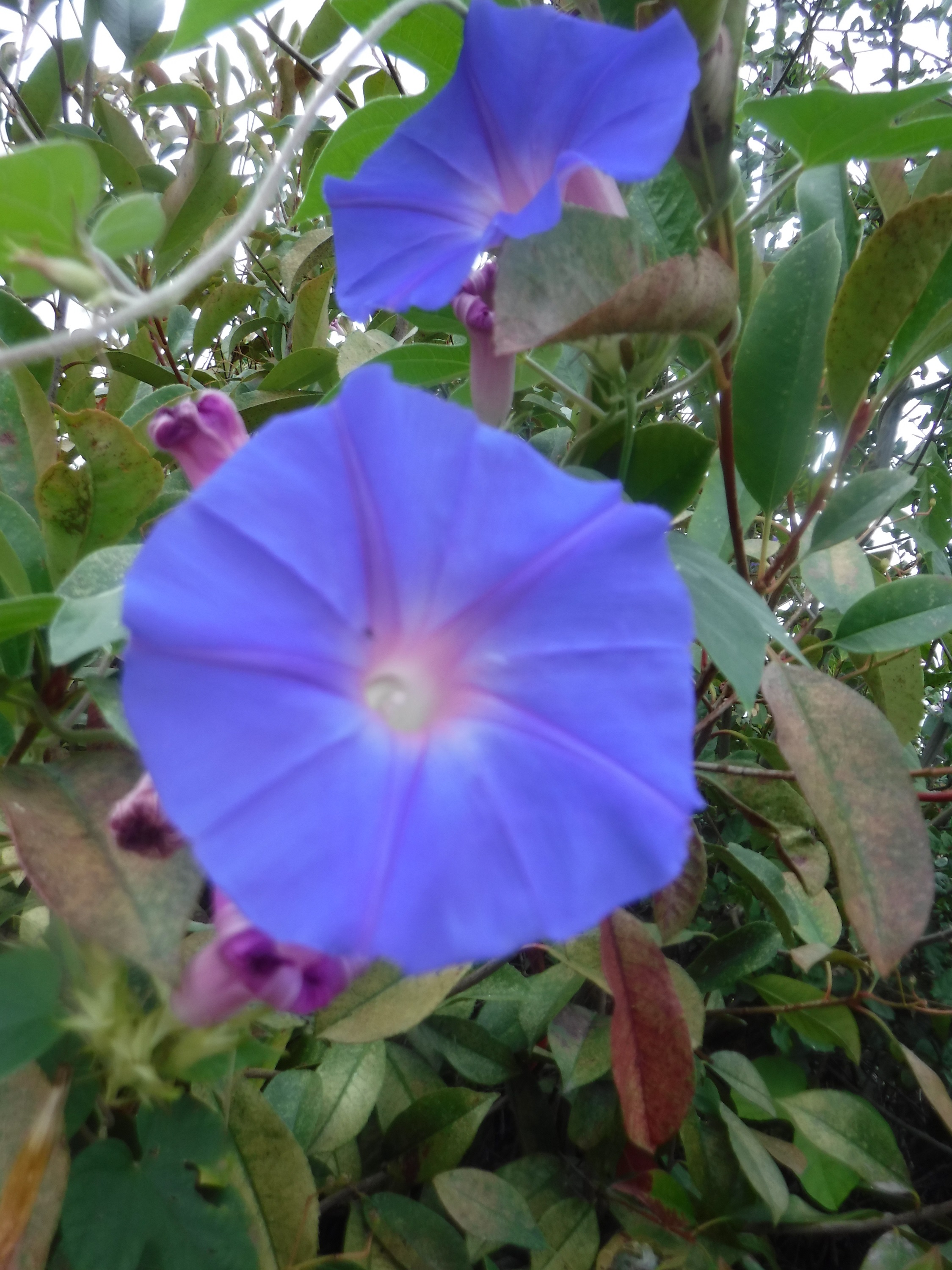 Photo taken by me
