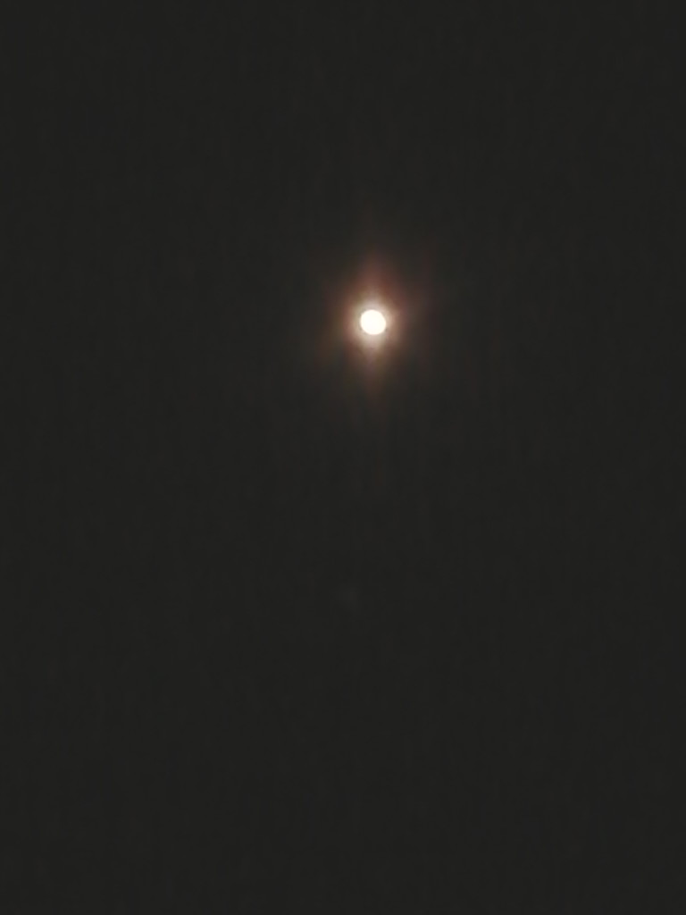 moonlight moonlight