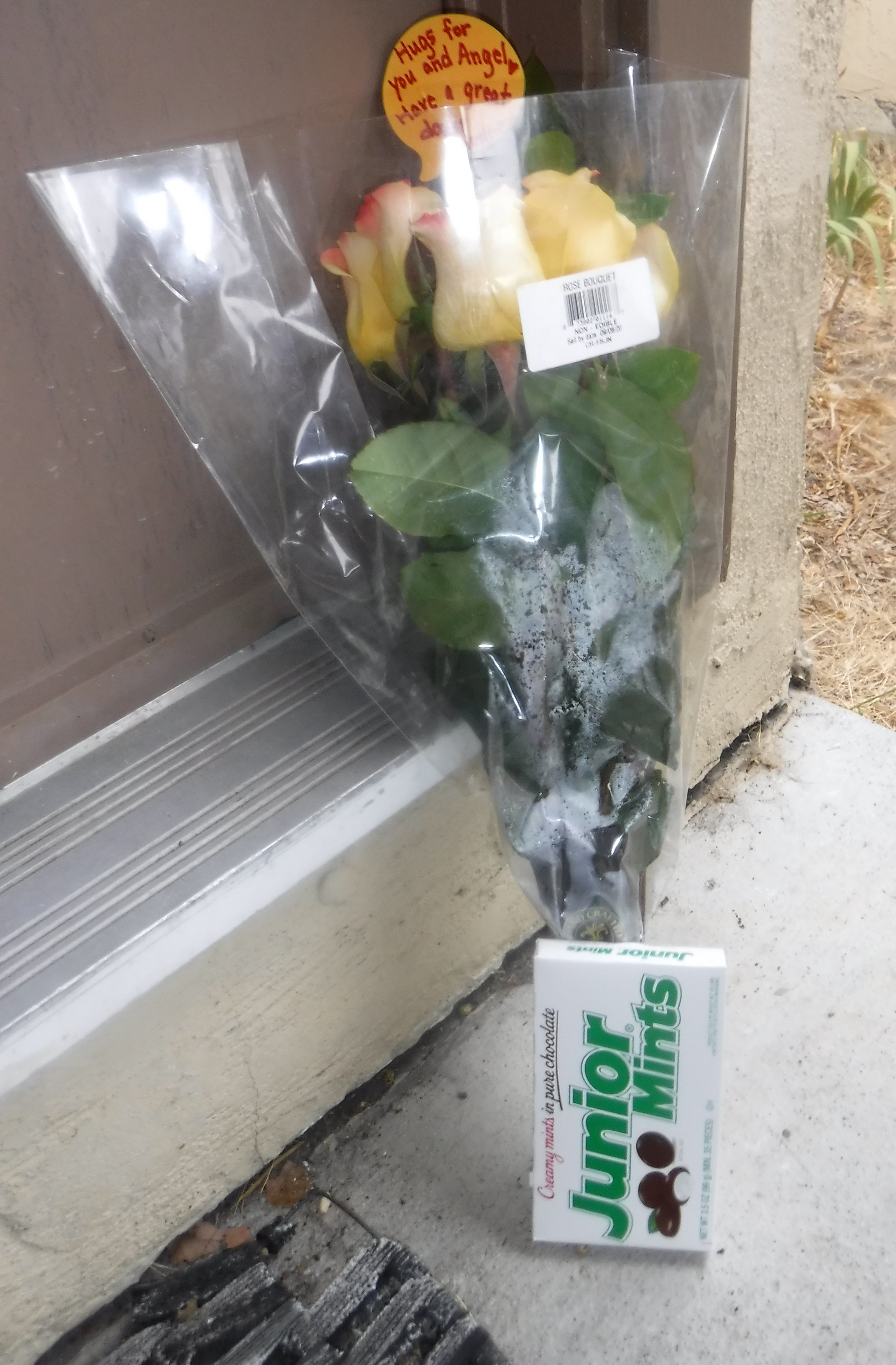 Photo I took of the surprise on my doorstep this morning Photo I took of the surprise on my doorstep this morning