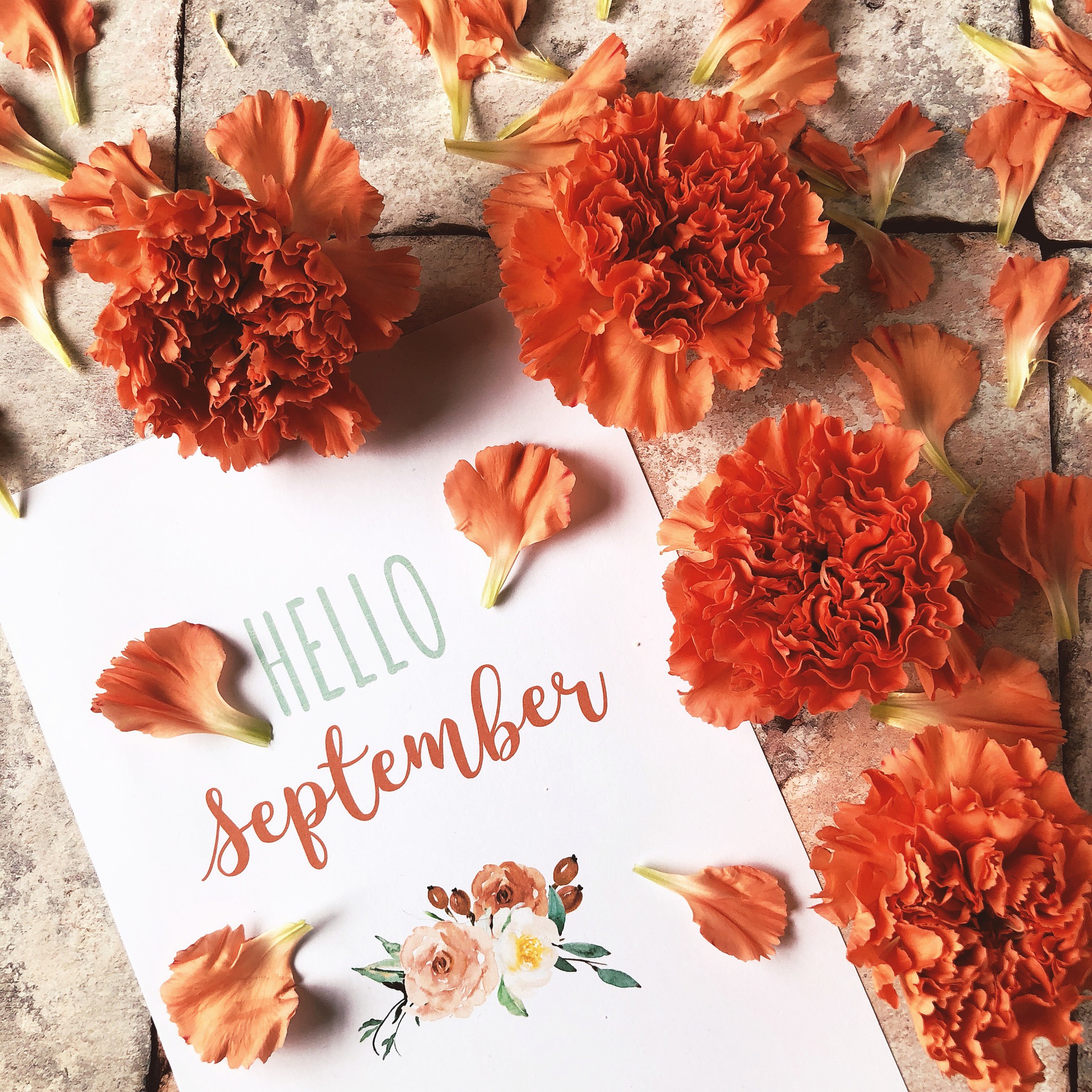 September,  Rambling