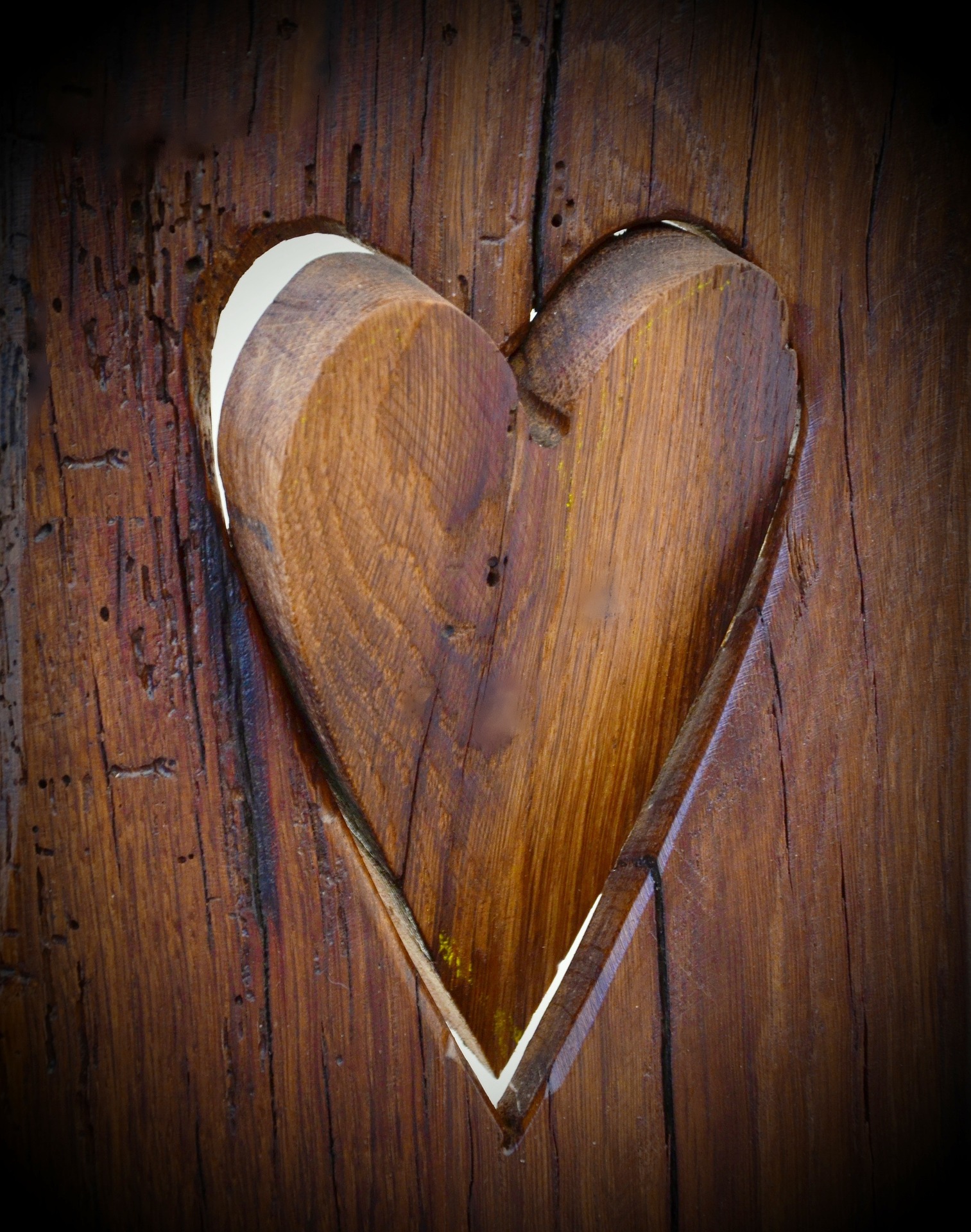 Can we carve love into the wood of our tree?