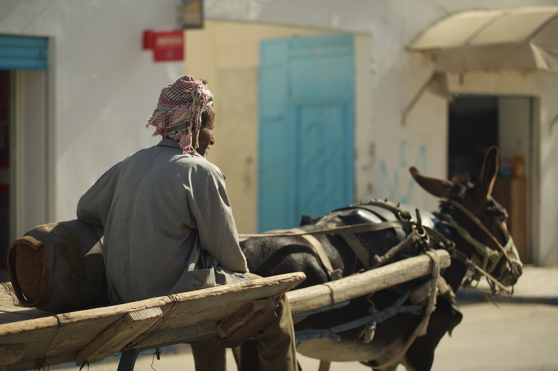 The Mullah had an unusual affection for his donkey. The Mullah had an unusual affection for his donkey.
