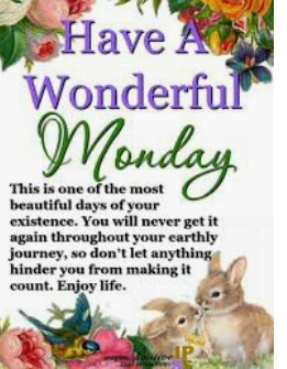 monday