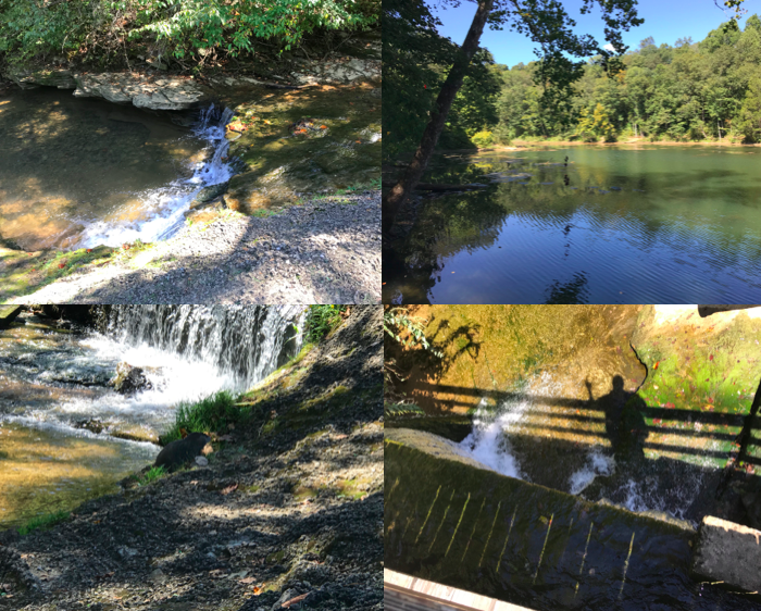 Photos from Saunders Springs Nature Preserve in Radcliff, Kentucky.  Photo taken by and the property of FourWalls.