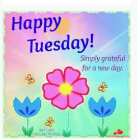 happy tuesday happy tuesday