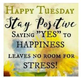 tuesday tuesday