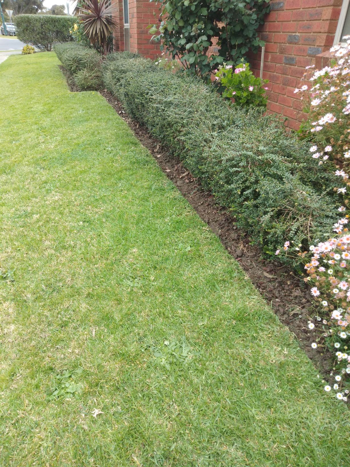 The old father in law had a good eye still for seeing a straight line even if he was already close to 90.