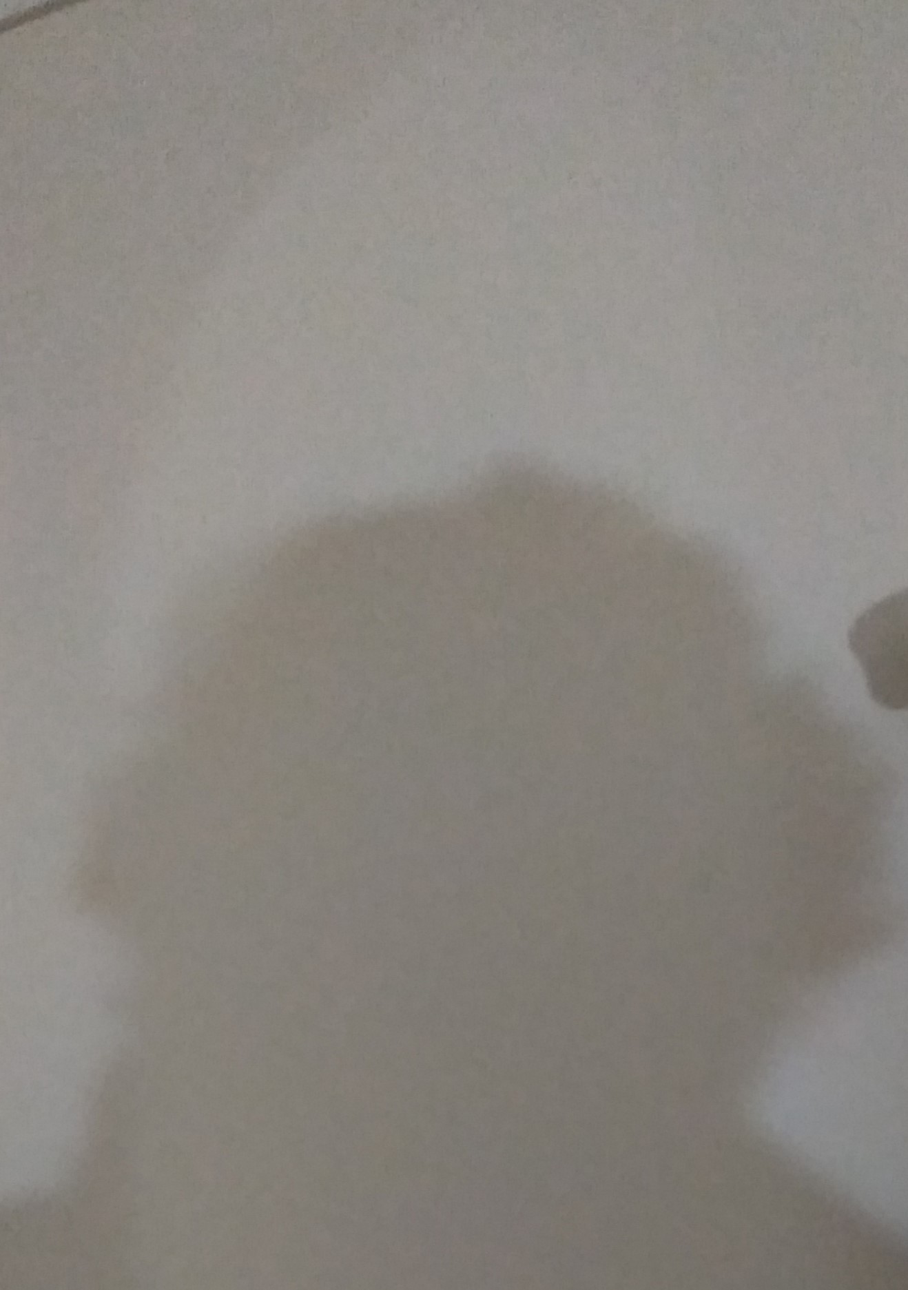The shadow and the light of truth are never enough on their own