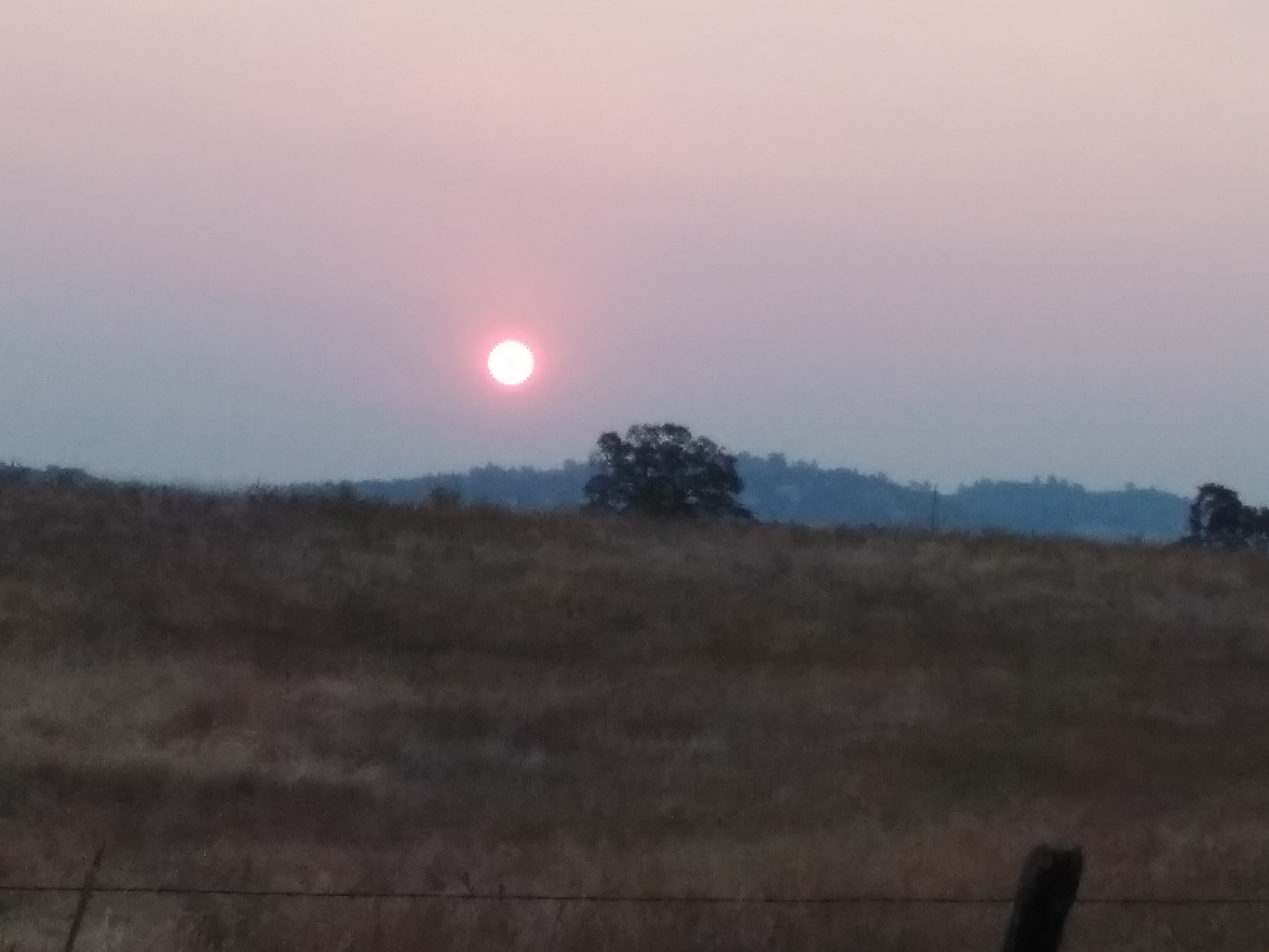 sunrise,landscapes,oak tree,sky,tree sunrise,landscapes,oak tree,sky,tree