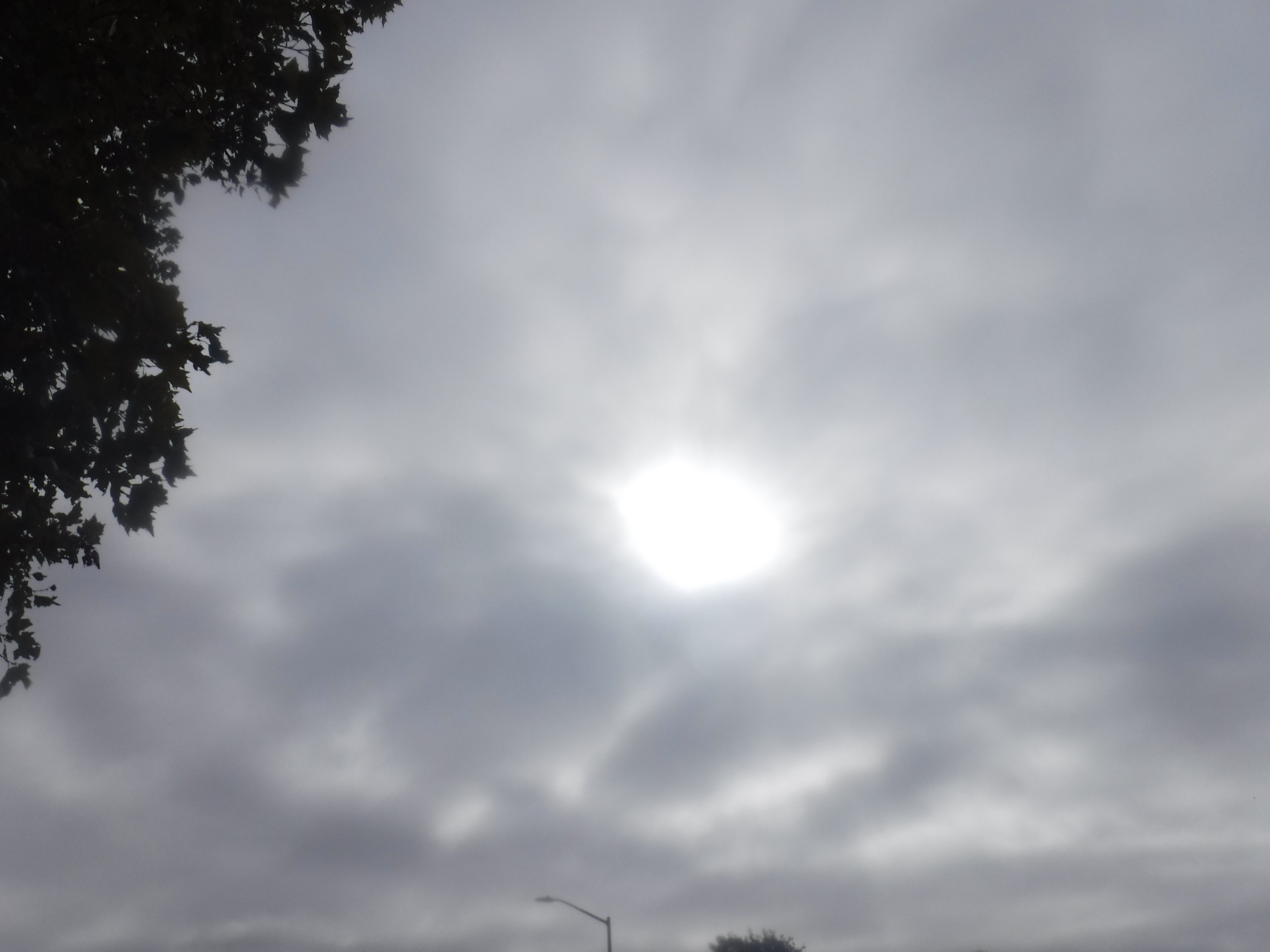 Photo taken by me 10-9-20