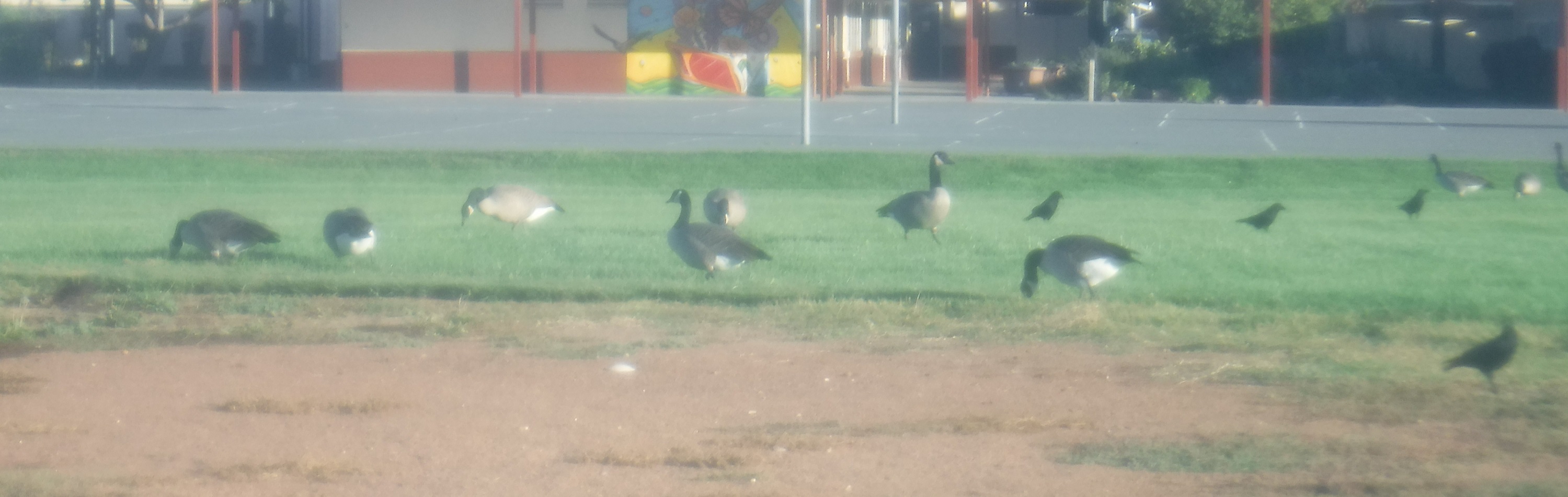 Photo taken by me waiting for the bus to go home 10-19-20 Photo taken by me waiting for the bus to go home 10-19-20