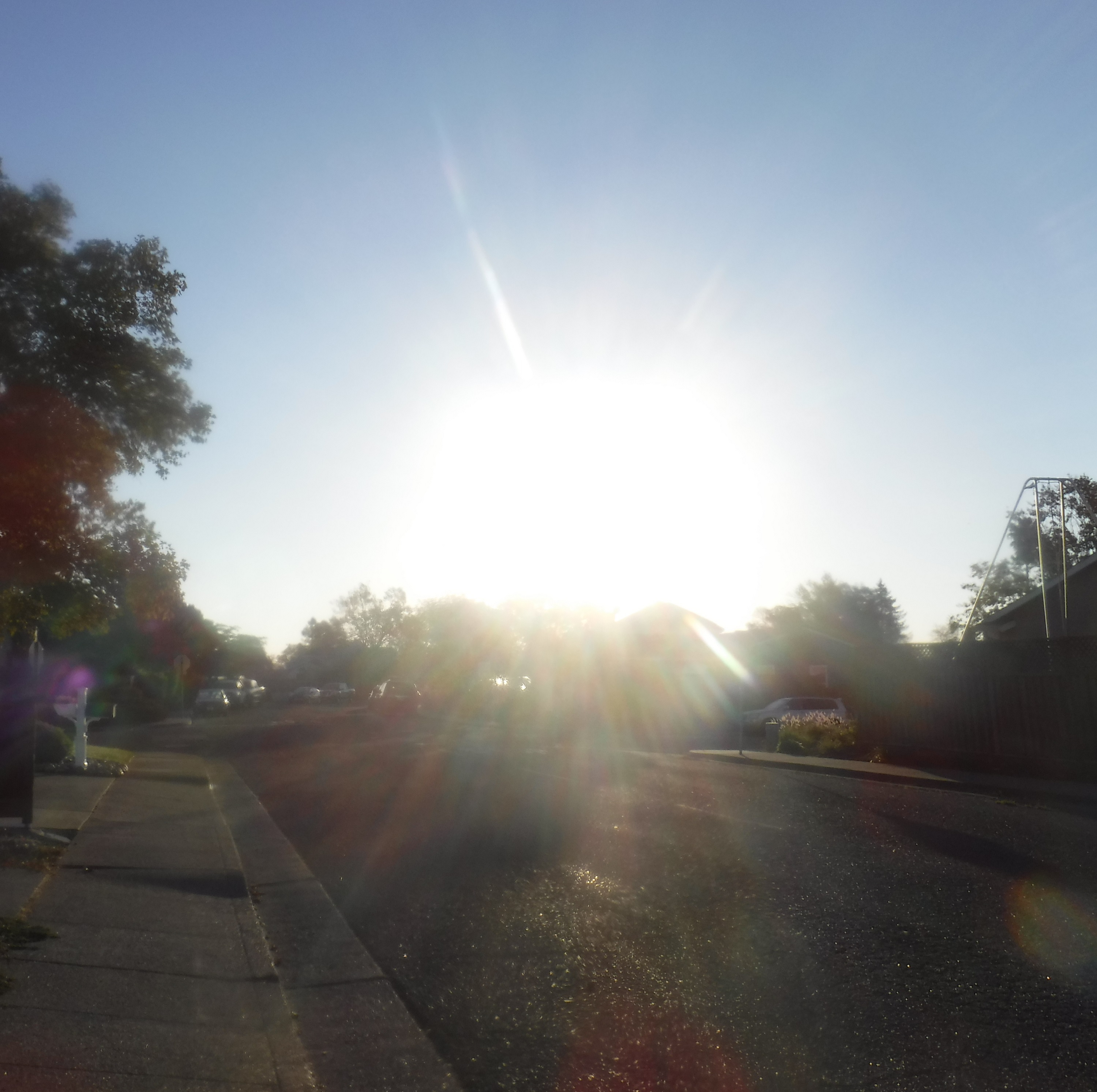 Photo taken by me 11-2-20