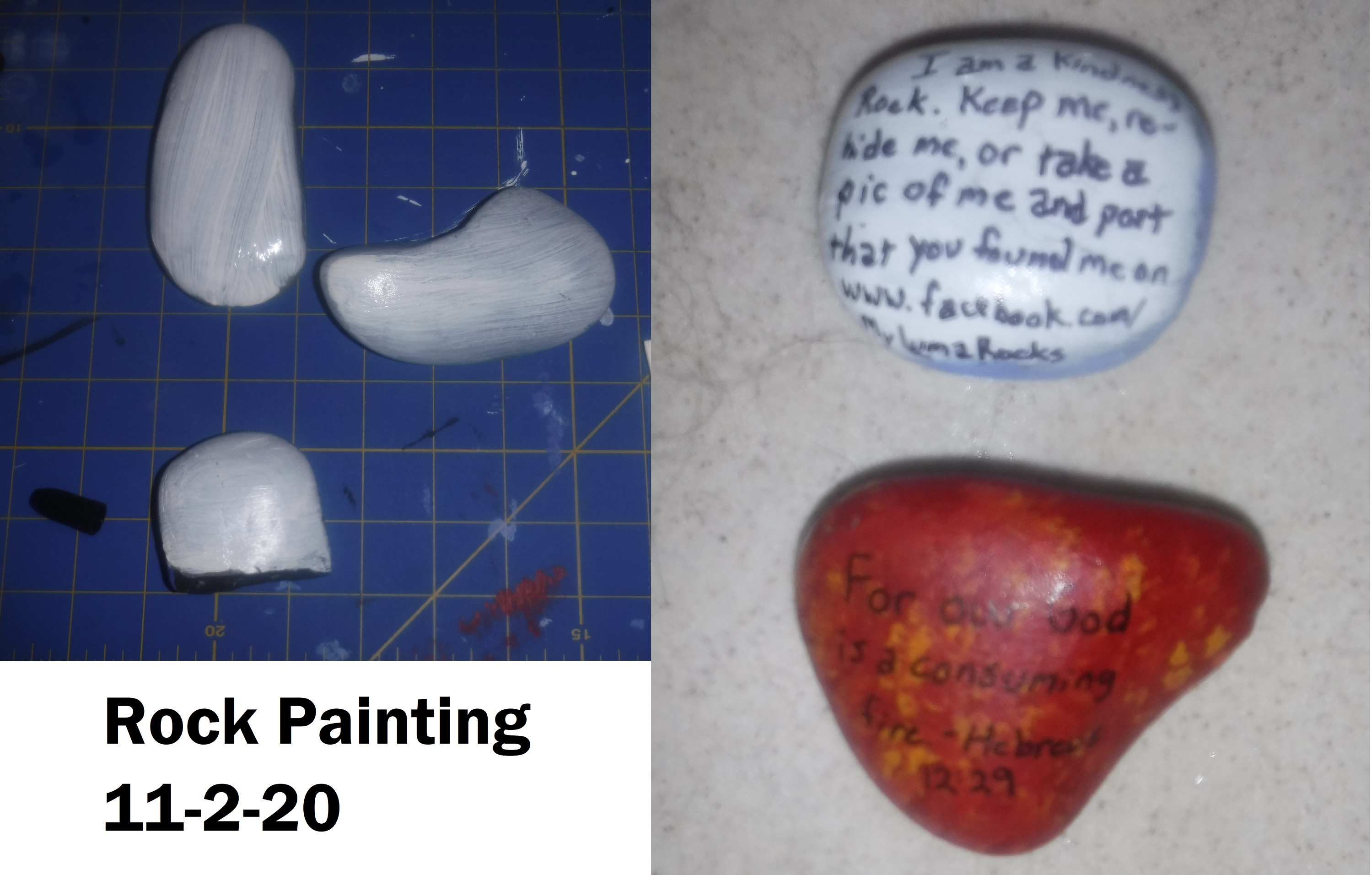 Photos that I took of th e rocks that I painted and shellaqued this evening