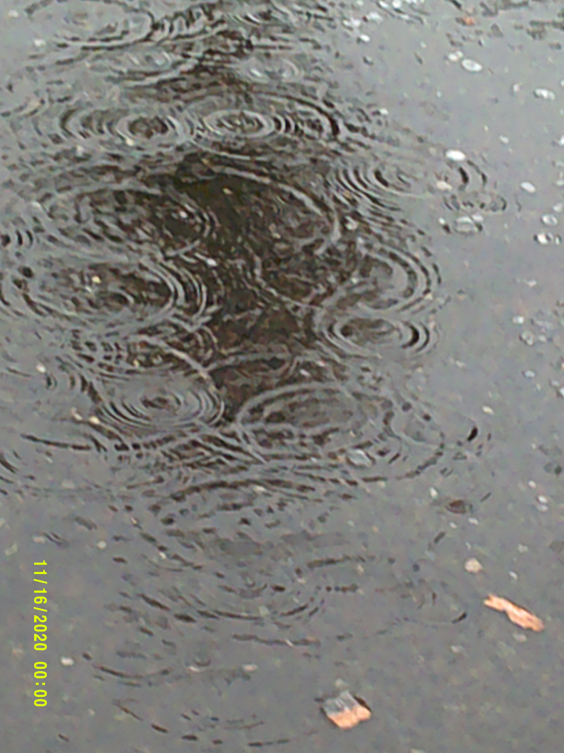 Photo taken by me 11=17=20 Photo taken by me 11=17=20