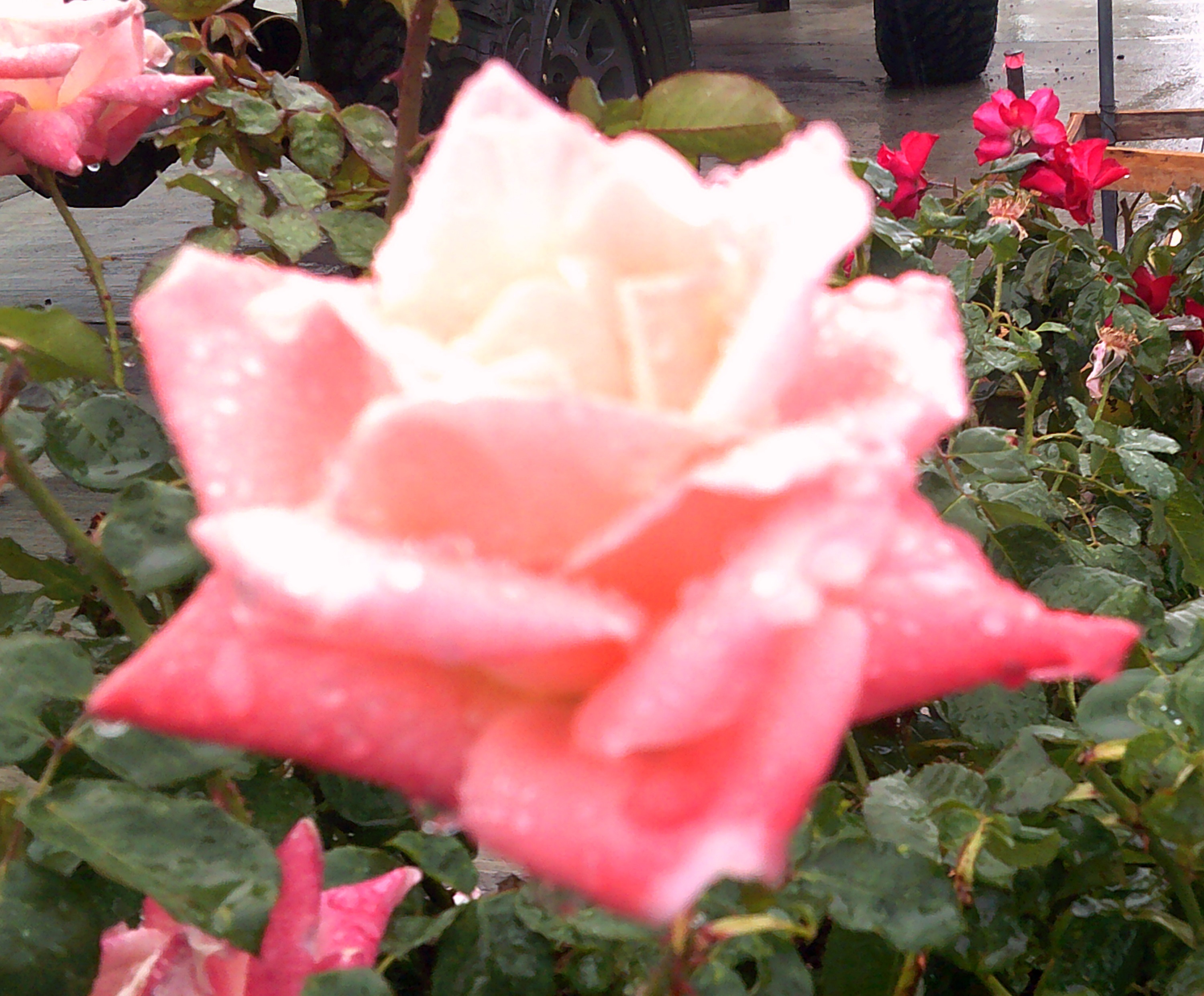 Photo taken by me