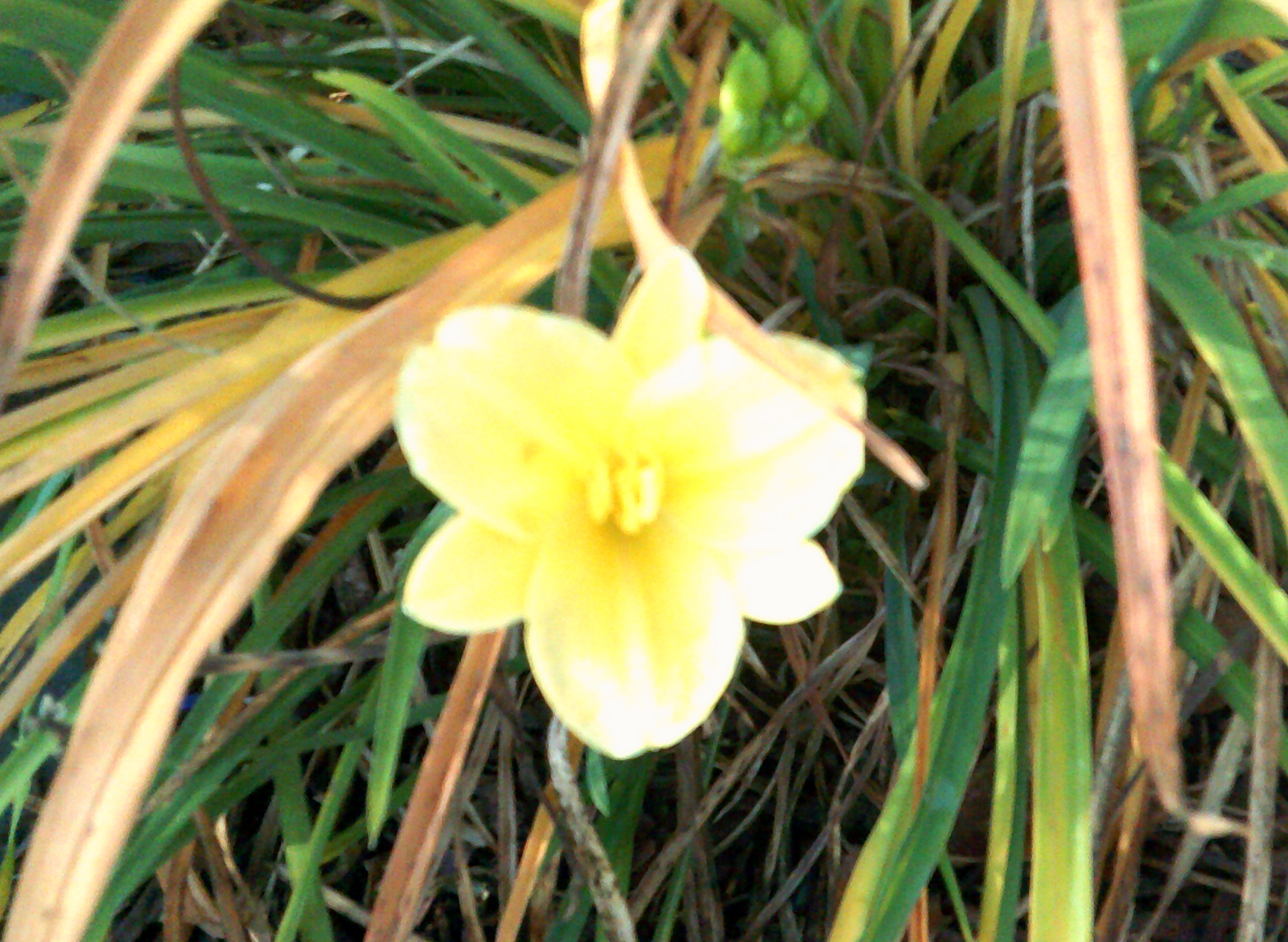 Photo taken by me 11-20-20