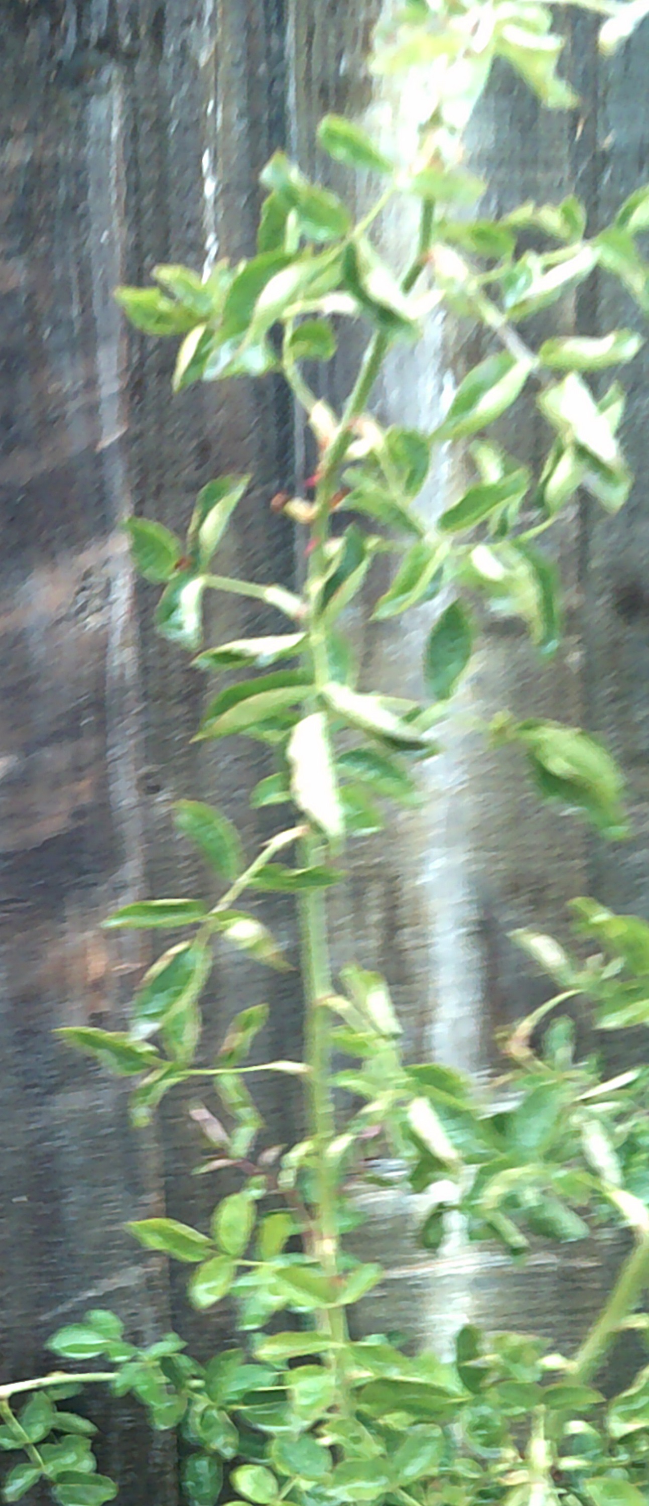 Photo taken by me