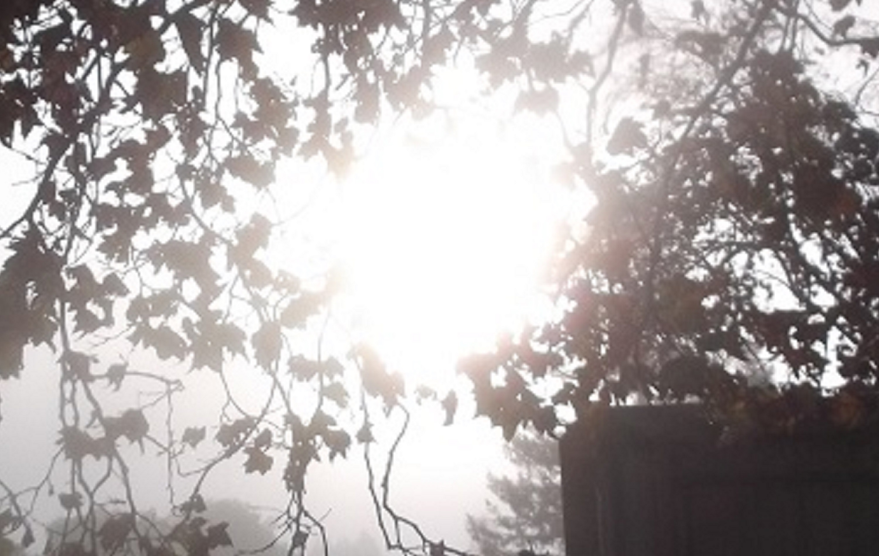 Photo taken by me