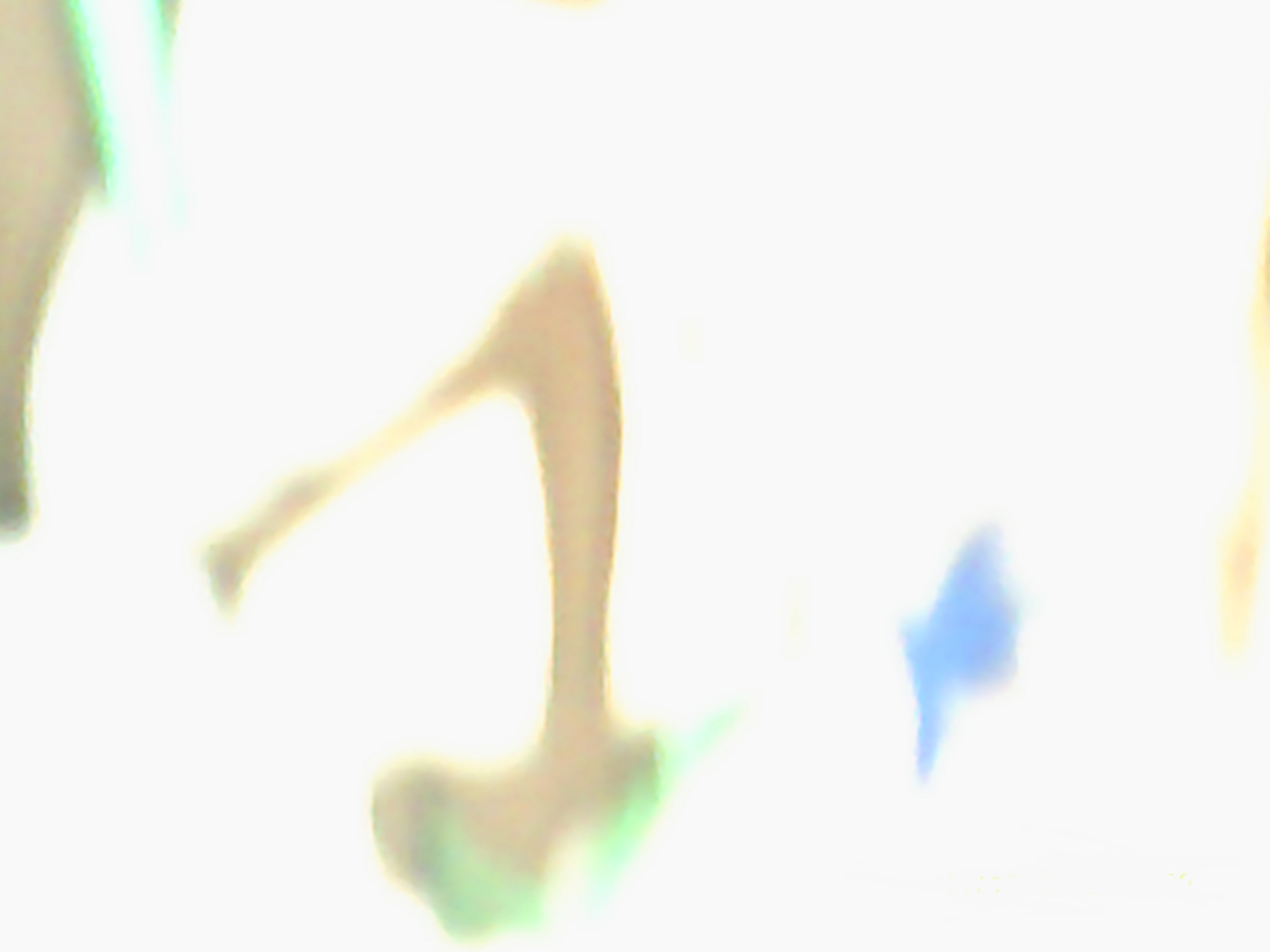 Accidental photo by me 11-16-20 Accidental photo by me 11-16-20