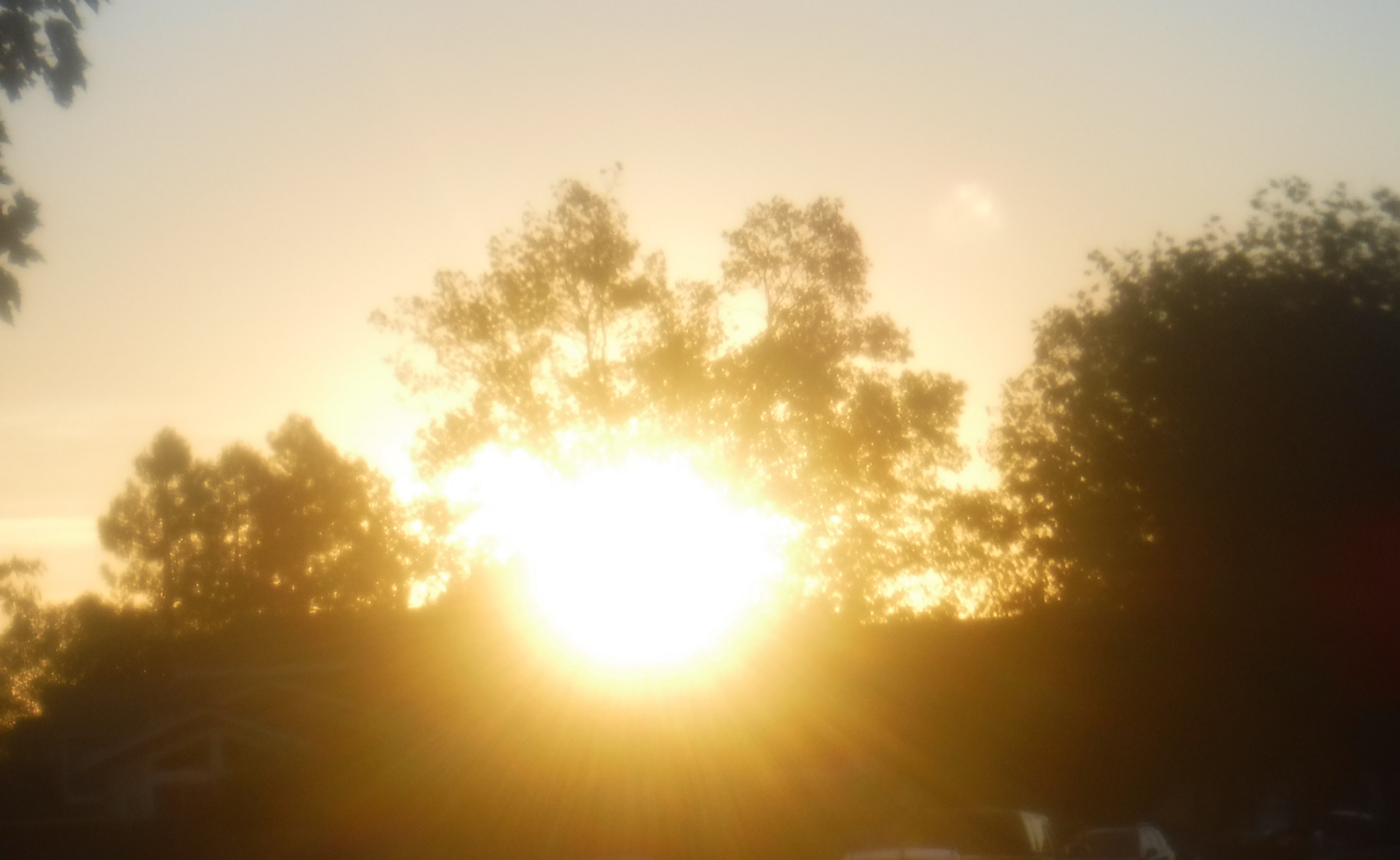 Taken by me 10-27-20 Taken by me 10-27-20