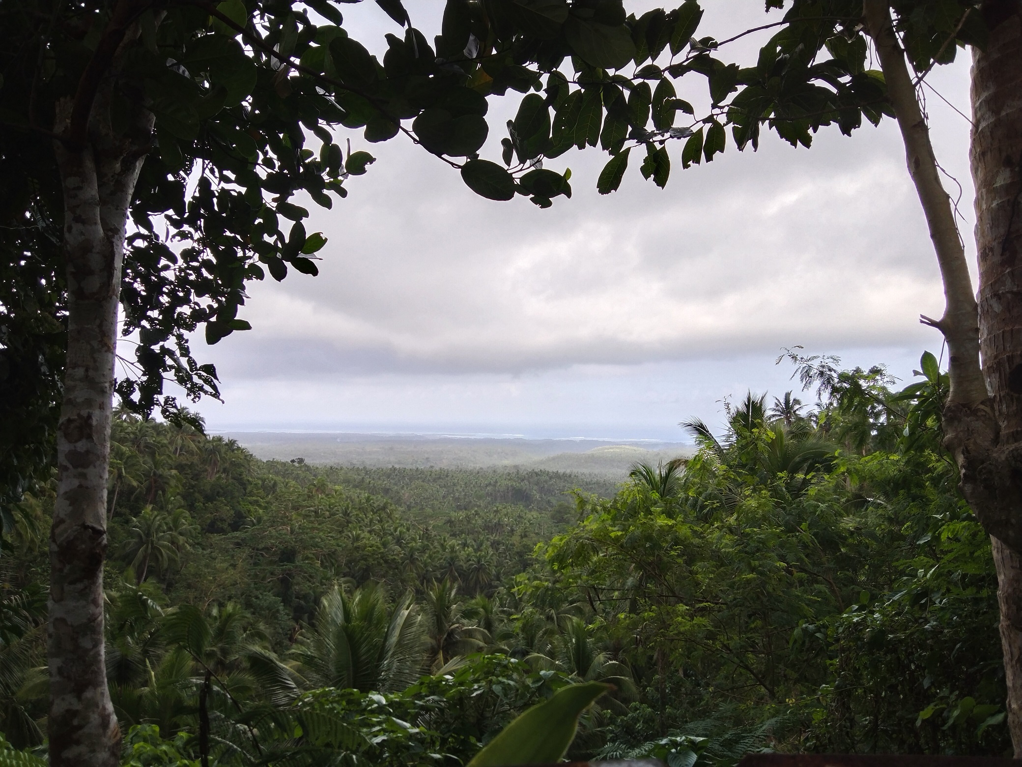 View deck overlooking seascape, and 4 towns View deck overlooking seascape, and 4 towns