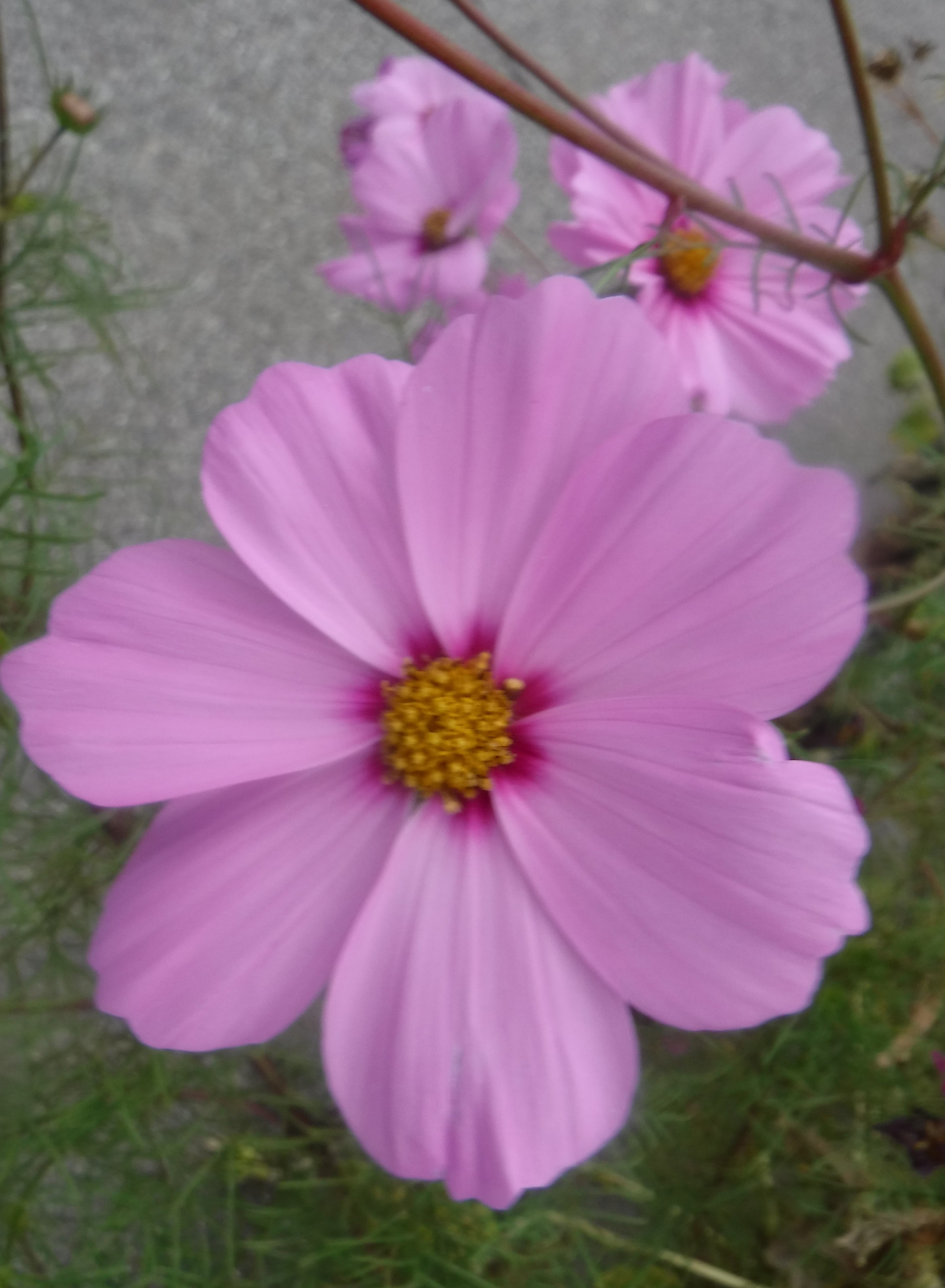 Photo taken by me Photo taken by me