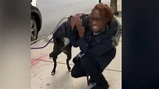 Gracie reunites with her owner Kelly Shade in Chicago Gracie reunites with her owner Kelly Shade in Chicago