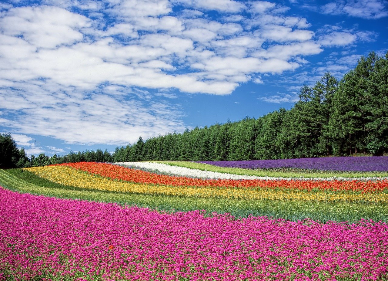 Not one of these flowers needed hope to be itself!