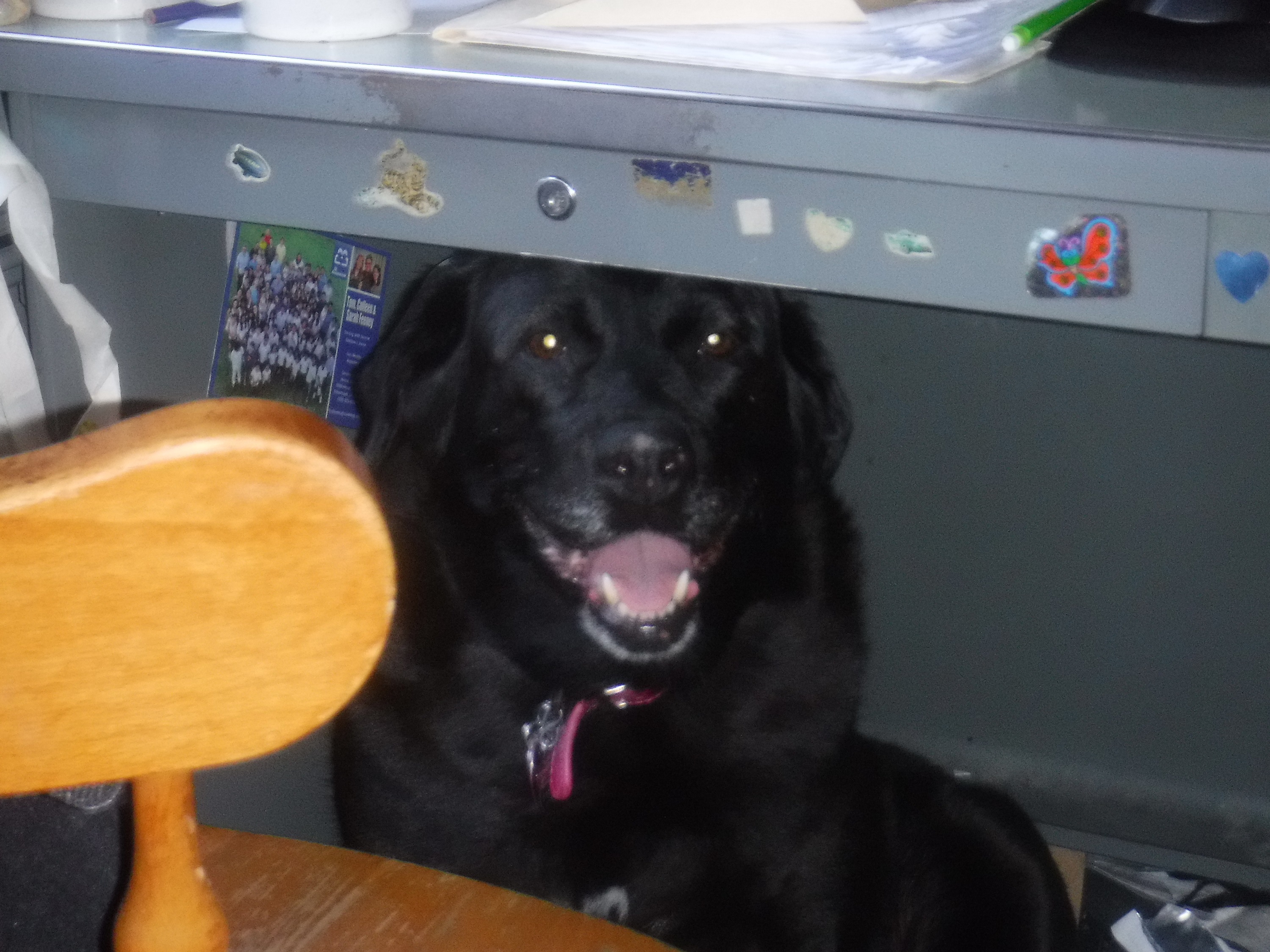 Angel under my desk 8-15-20 Angel under my desk 8-15-20