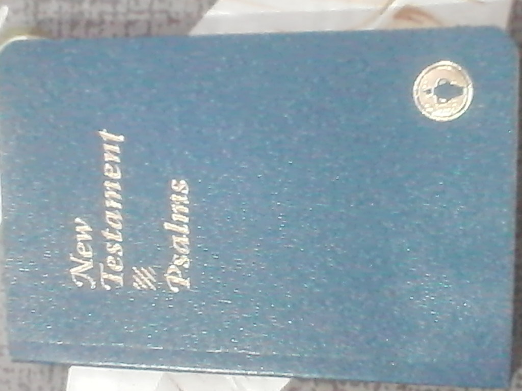 bible bible