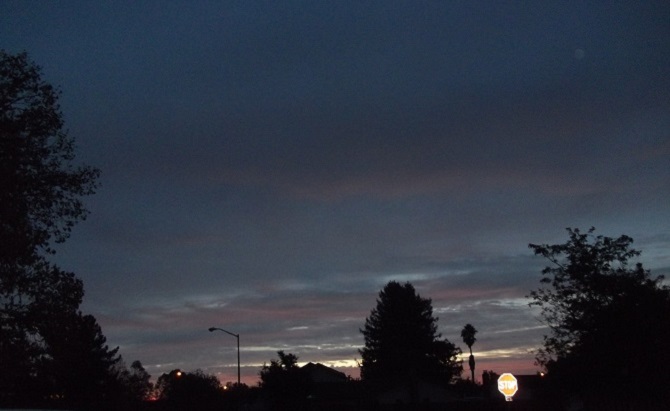 Photo taken by me 1-23-14 Photo taken by me 1-23-14