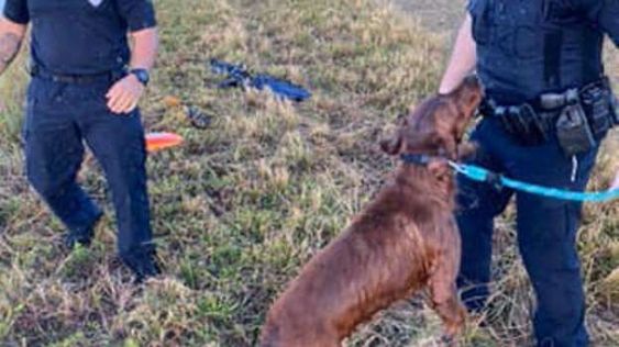 Port St. Lucie police officers rescuing a dog that fell into a canal